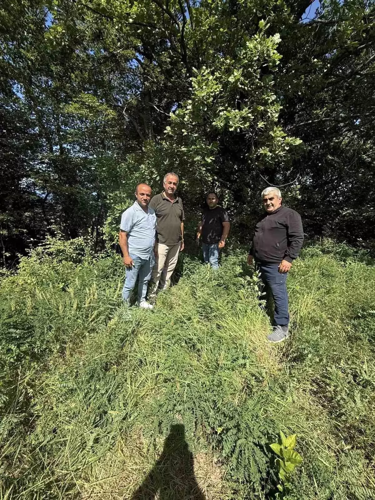 Sinop'ta Yeni Baz İstasyonu Onaylandı