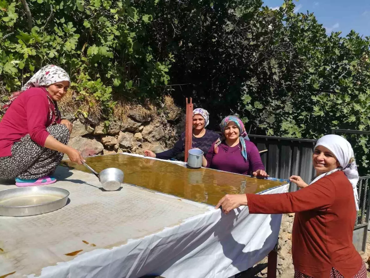 Kemaliye'de Kadınlar Geleneksel Pestil Üretimine Başladı