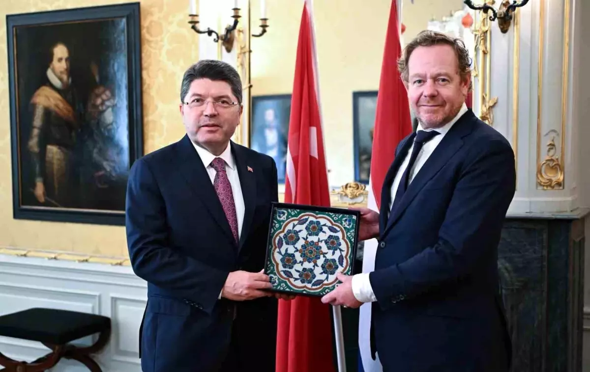 Çalınan Çini Türkiye'ye Iade Edildi