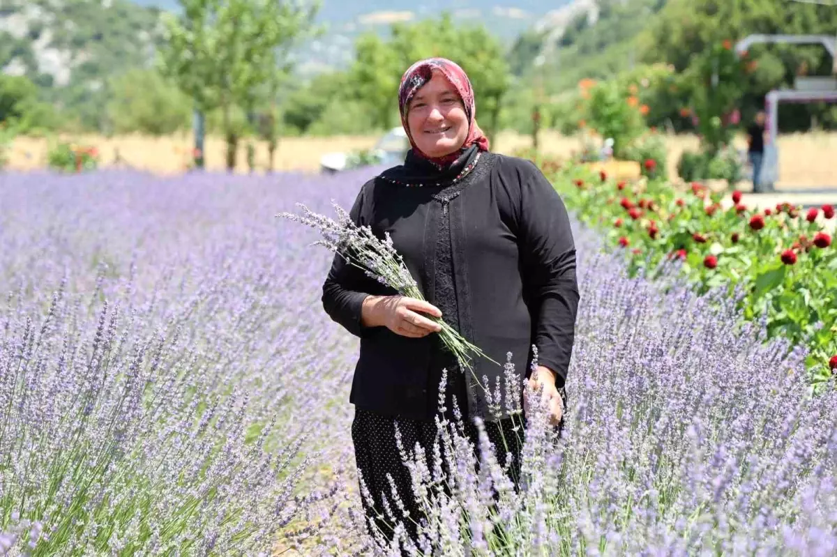 Lavanta Projesi Kadınları Güçlendiriyor