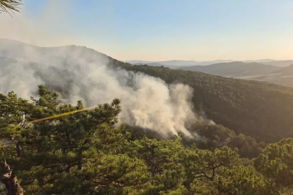 Bolu'dan korkutan orman yangını