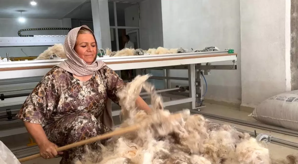 Cemile Şahin'in Yün Girişimi