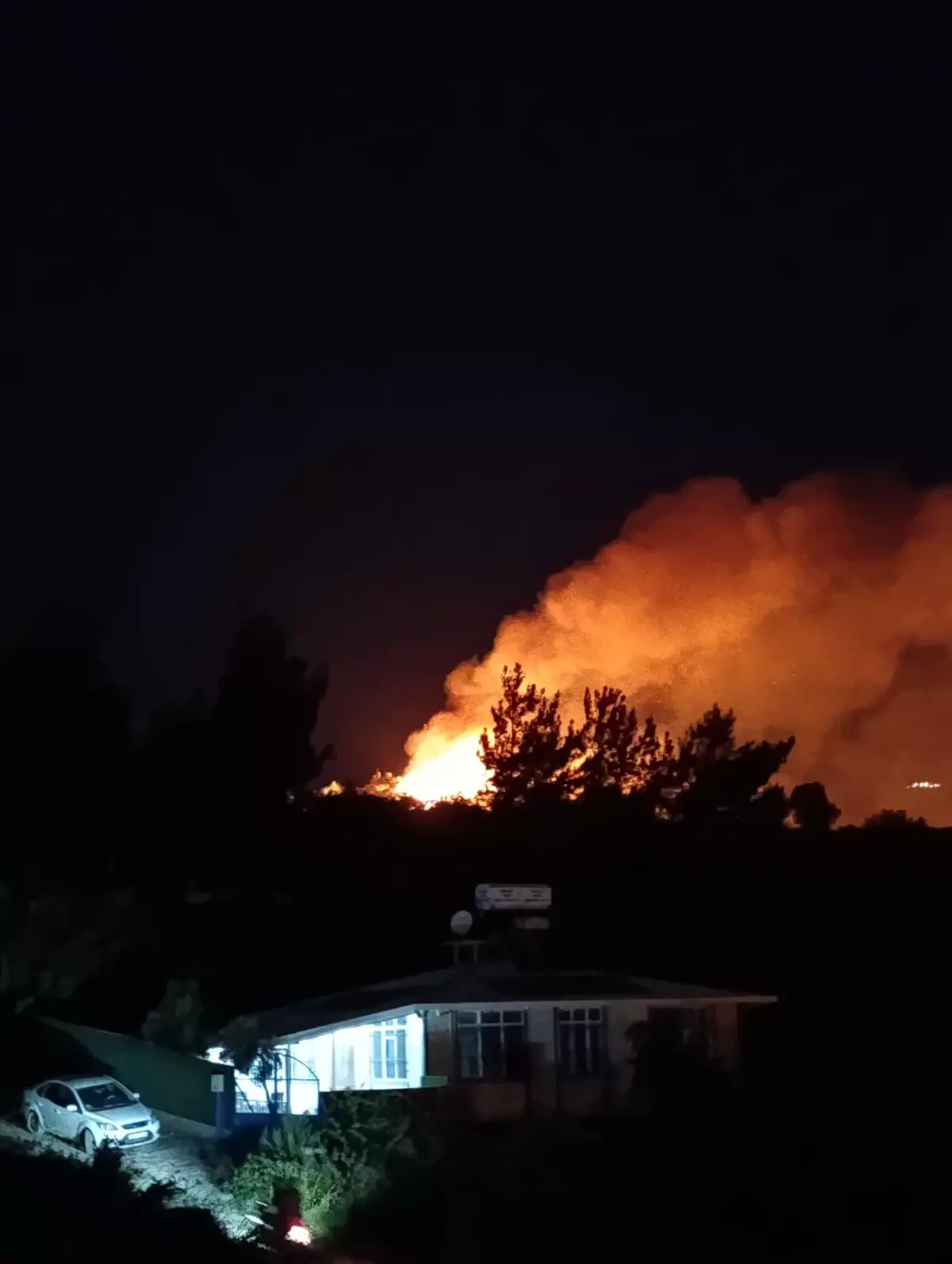 Samandağ'da Makilikte Yangın