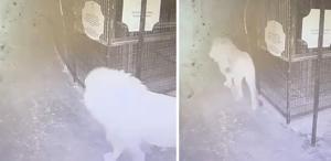 İkinci El Araç Fiyatları Yükseliyor