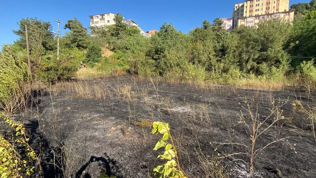 Karabük'te Otluk Alanda Yangın