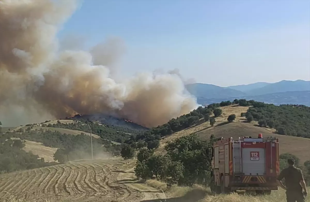 Uşak ve Manisa'da Yangın Mücadelesi