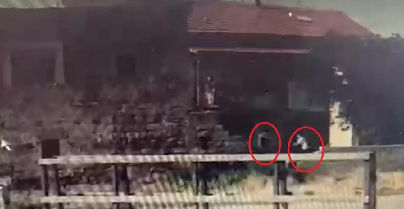 Kayseri'de Bıçaklı Kavga: 4 Yaralı