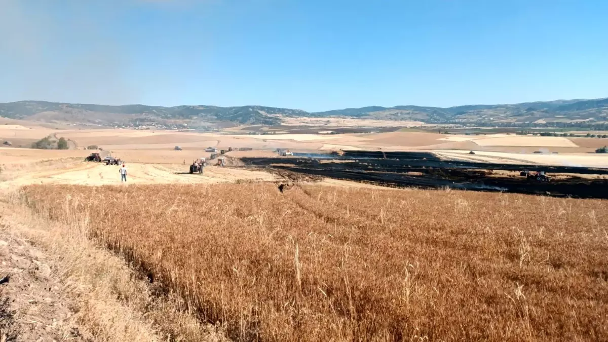 Boğazkale'de Yangın: 3 Bin Dekar Buğday Zarar Gördü