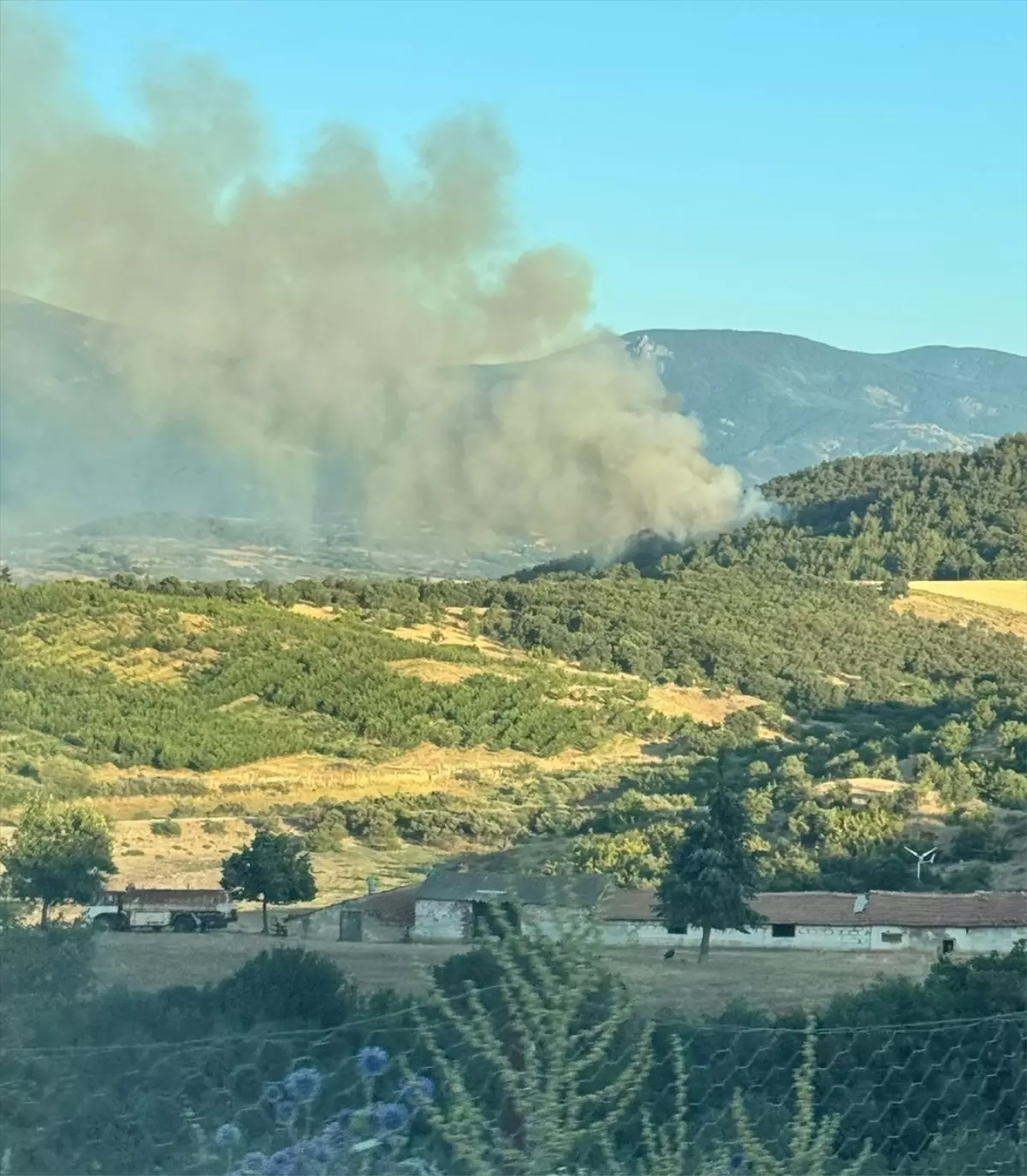Çanakkale'de Orman Yangını Kontrol Altına Alındı