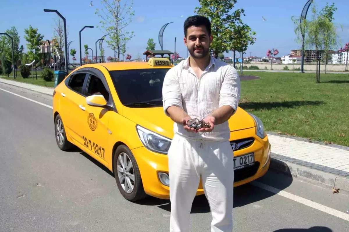 Ordu'da Zeka Oyunlu Taksi Deneyimi