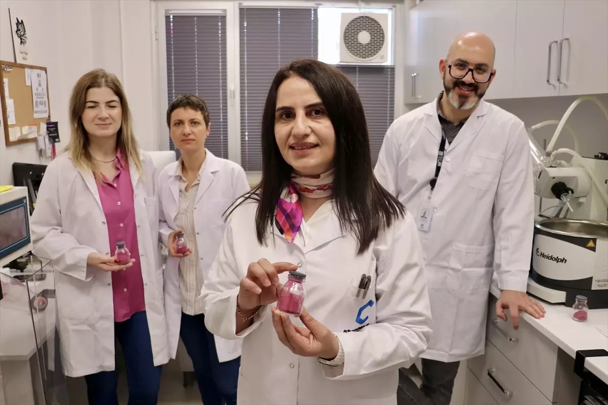Aronya ve Karayemişle Doğal Çay Üretimi