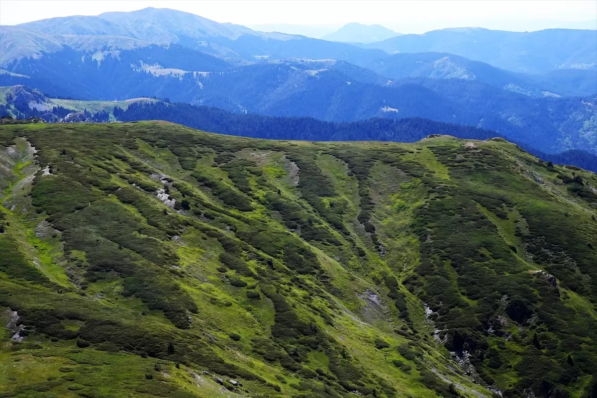 Ilgaz Dağı'nda Bahar Başladı