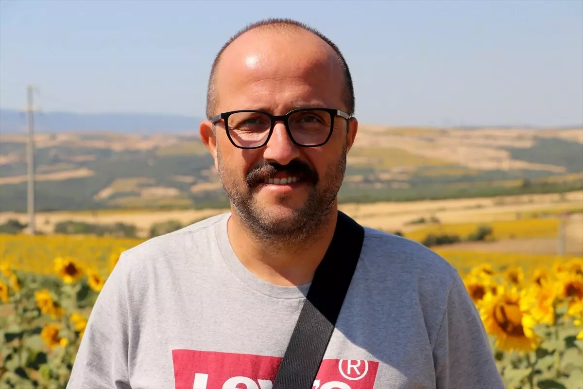 Tekirdağ'ın Ayçiçeği Tarlaları Turizme Katkı Sağlıyor