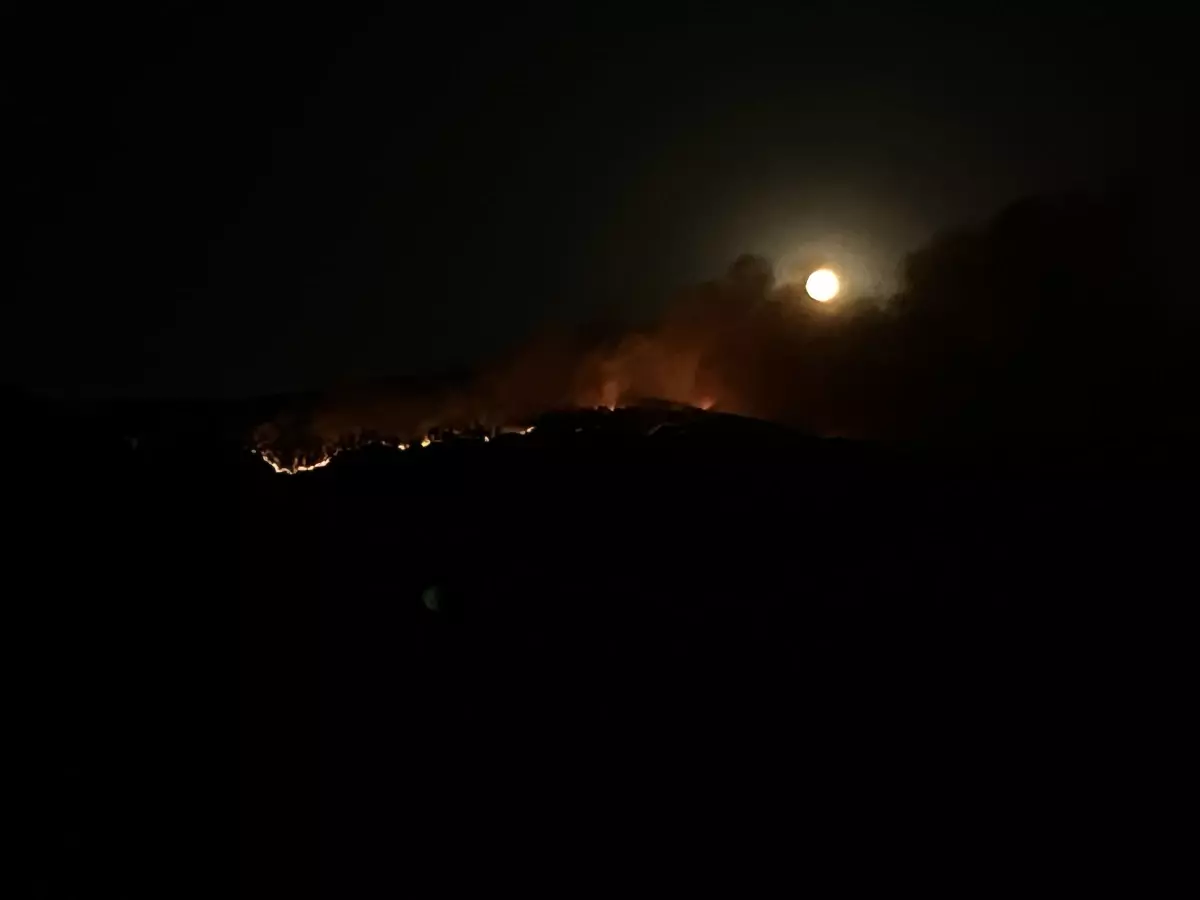 Çankırı'da Orman Yangını