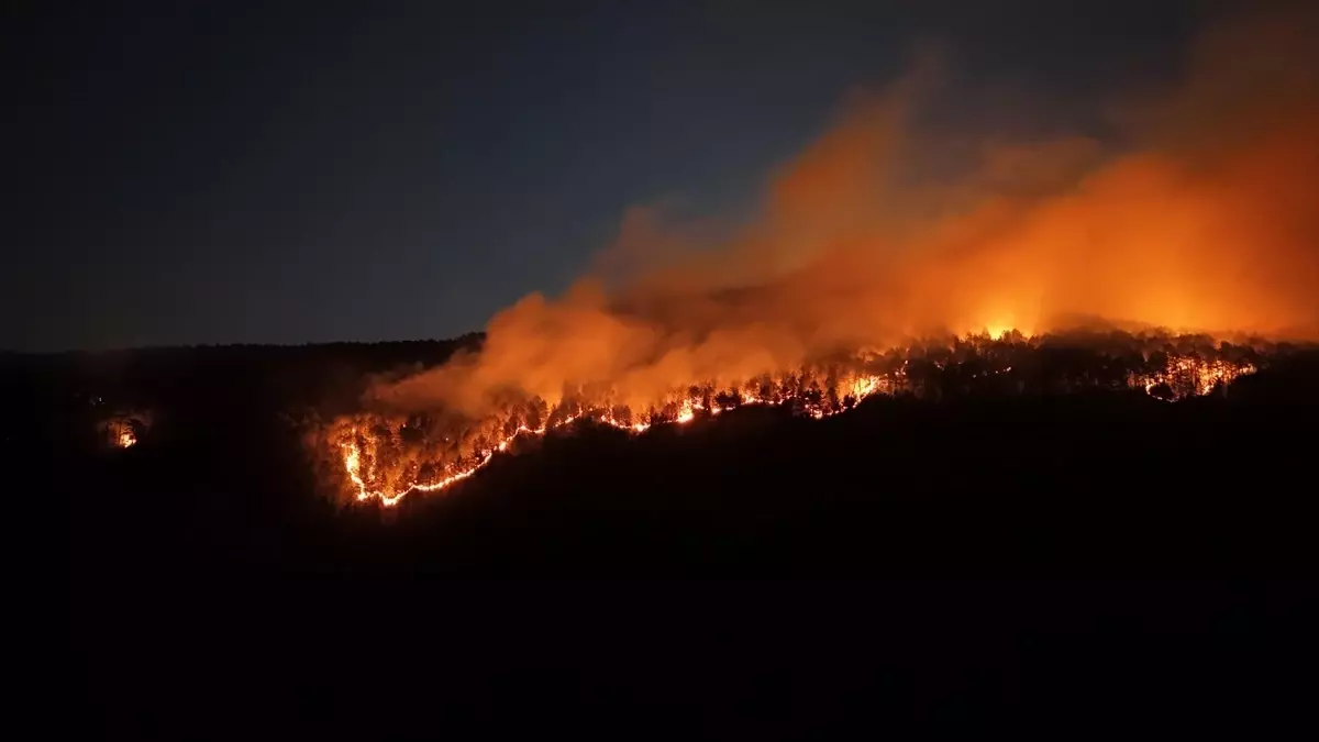 Ilgaz'da Yeniden Orman Yangını