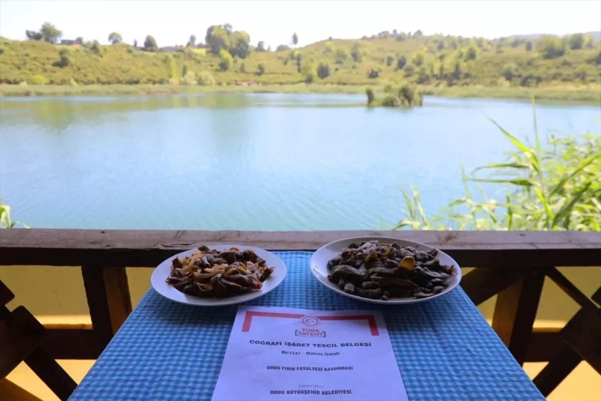 Ordu Fırın Fasulyesi Tescillendi
