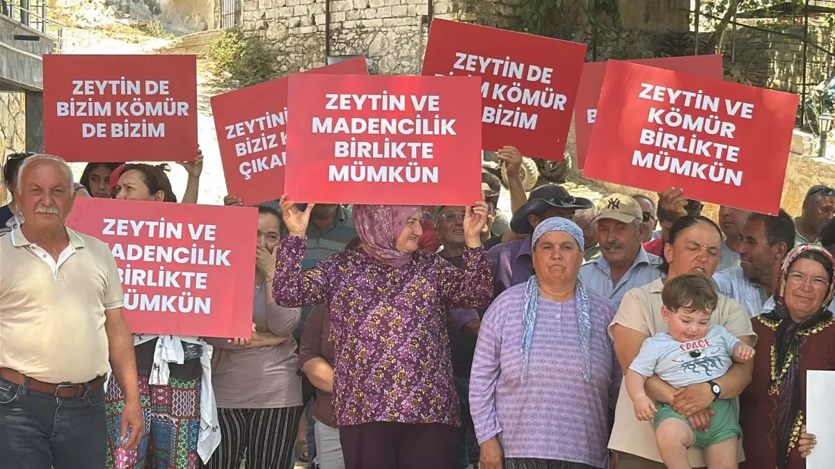 Milas'ta Zeytin ve Madencilik Bir Arada