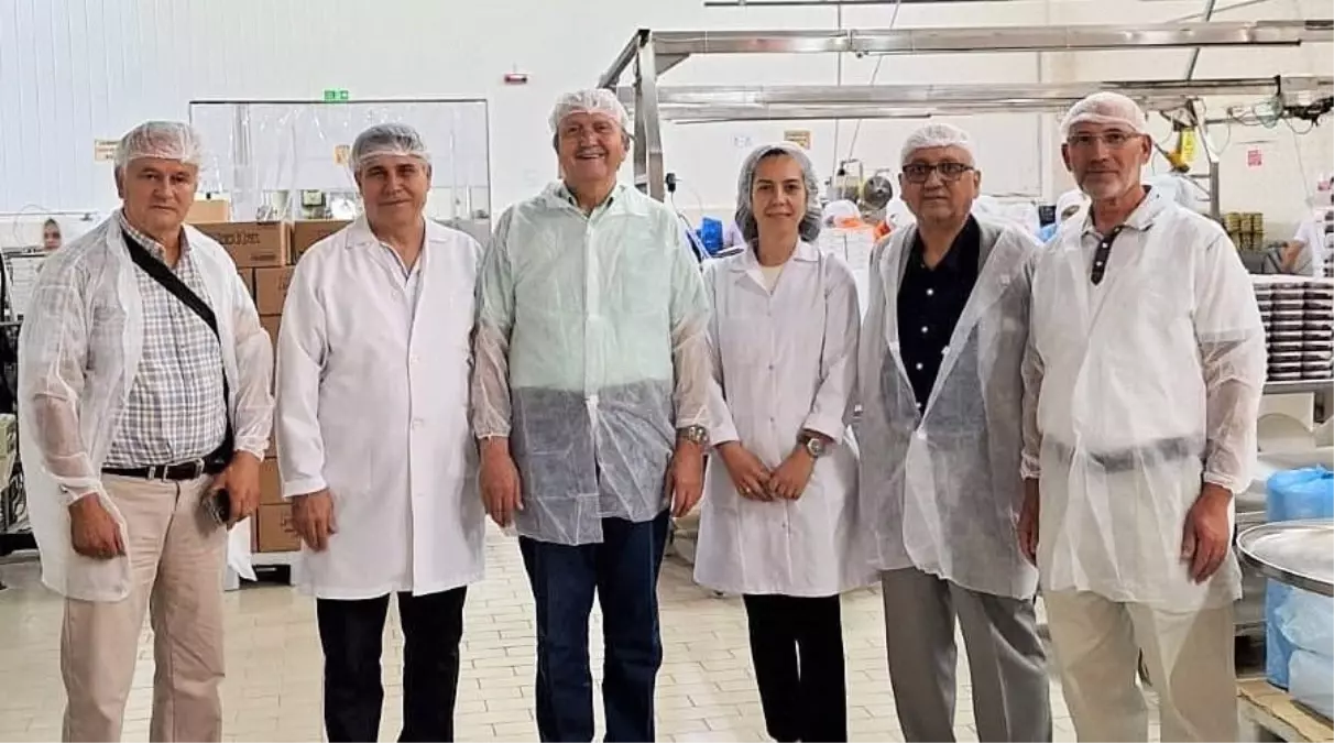 Kardelen Kestane Şekeri İncelendi