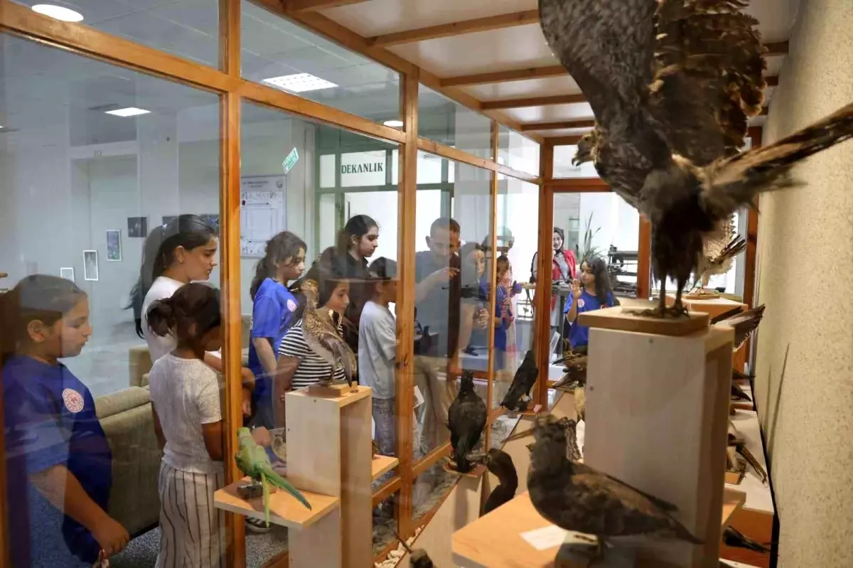Düzce Gençlik Kulübü'nden Doğa Turu