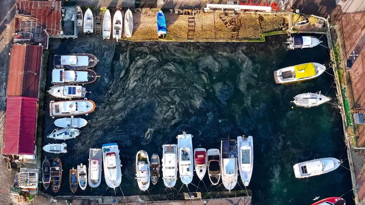 Marmara Denizi'nde Müsilaj Tehdidi