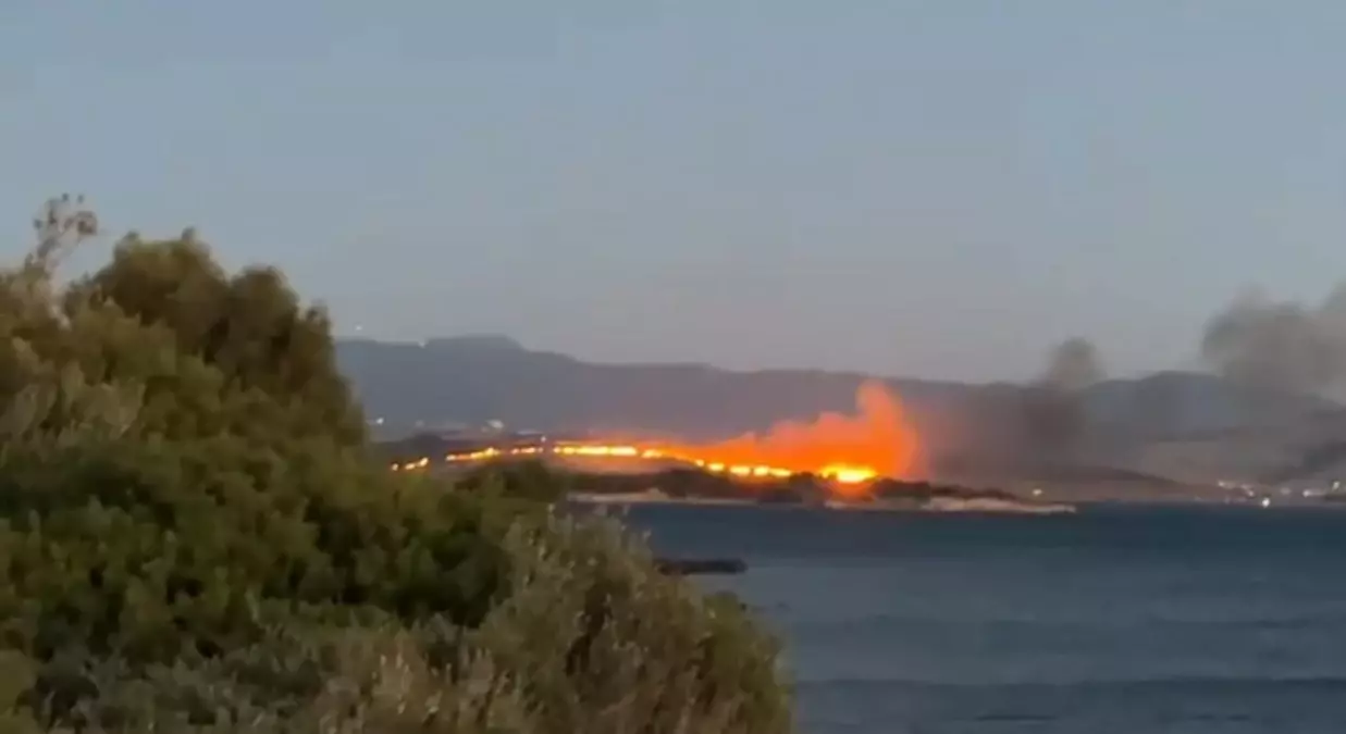 Aliağa'da Otluk Yangını