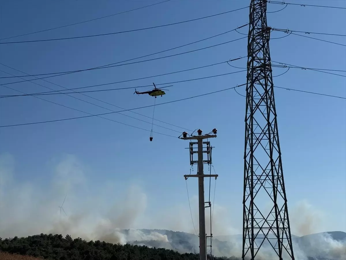 Urla'da Orman Yangını Kontrol Altında