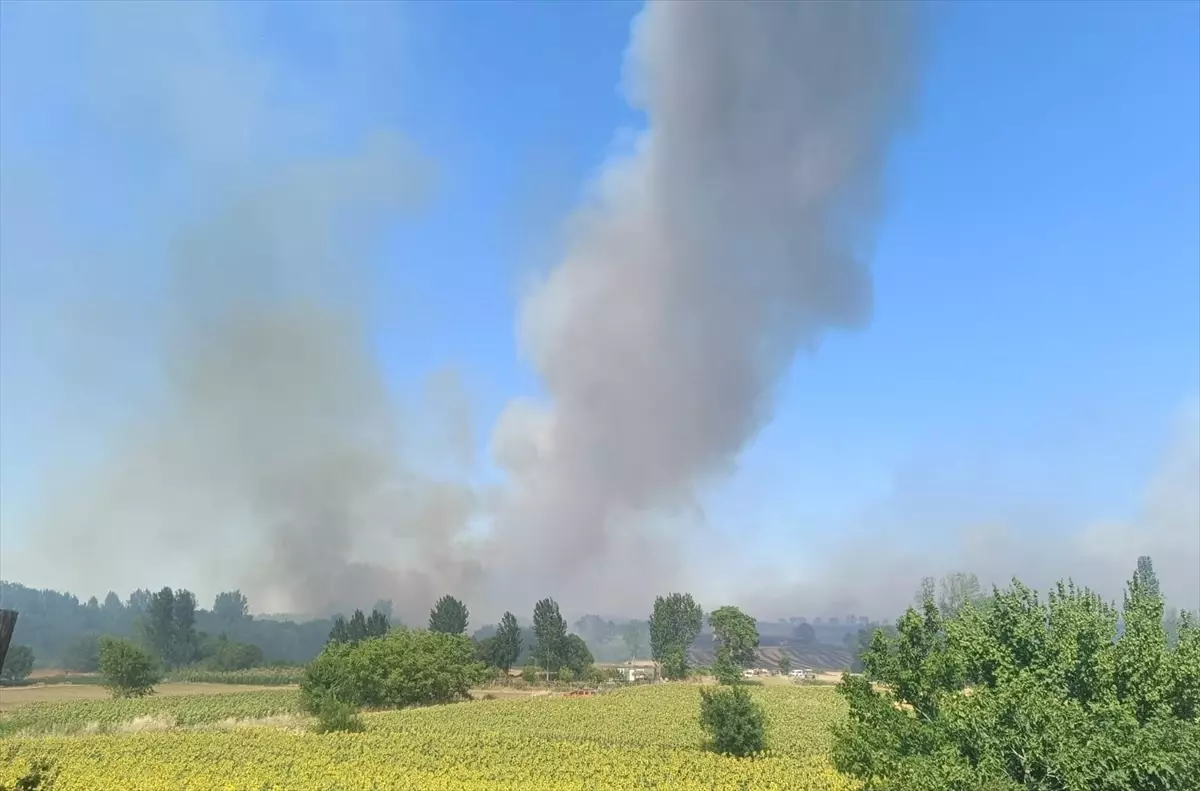 Edirne'de Orman Yangını Söndürüldü