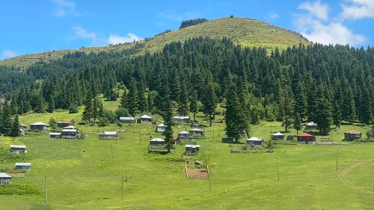 Gölyanı Yaylası'nda Turizm Çalışmaları