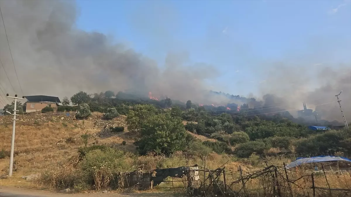 Çine'de Tarım Alanında Yangın
