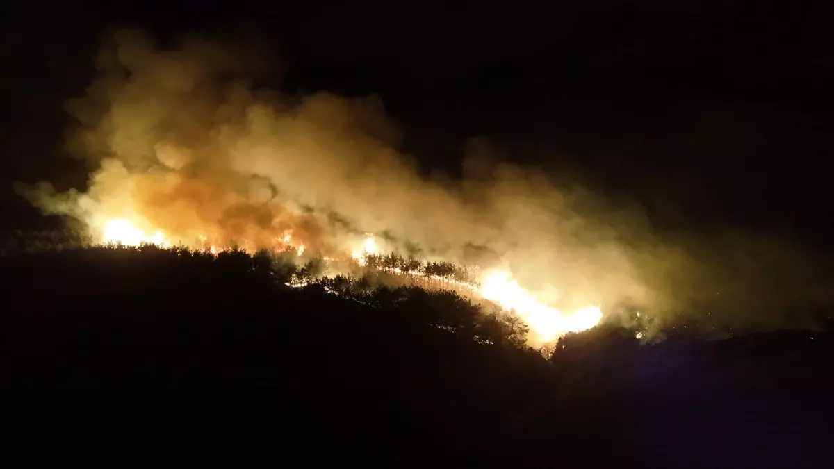 Şarköy'de Orman Yangını Yayılmaya Devam Ediyor