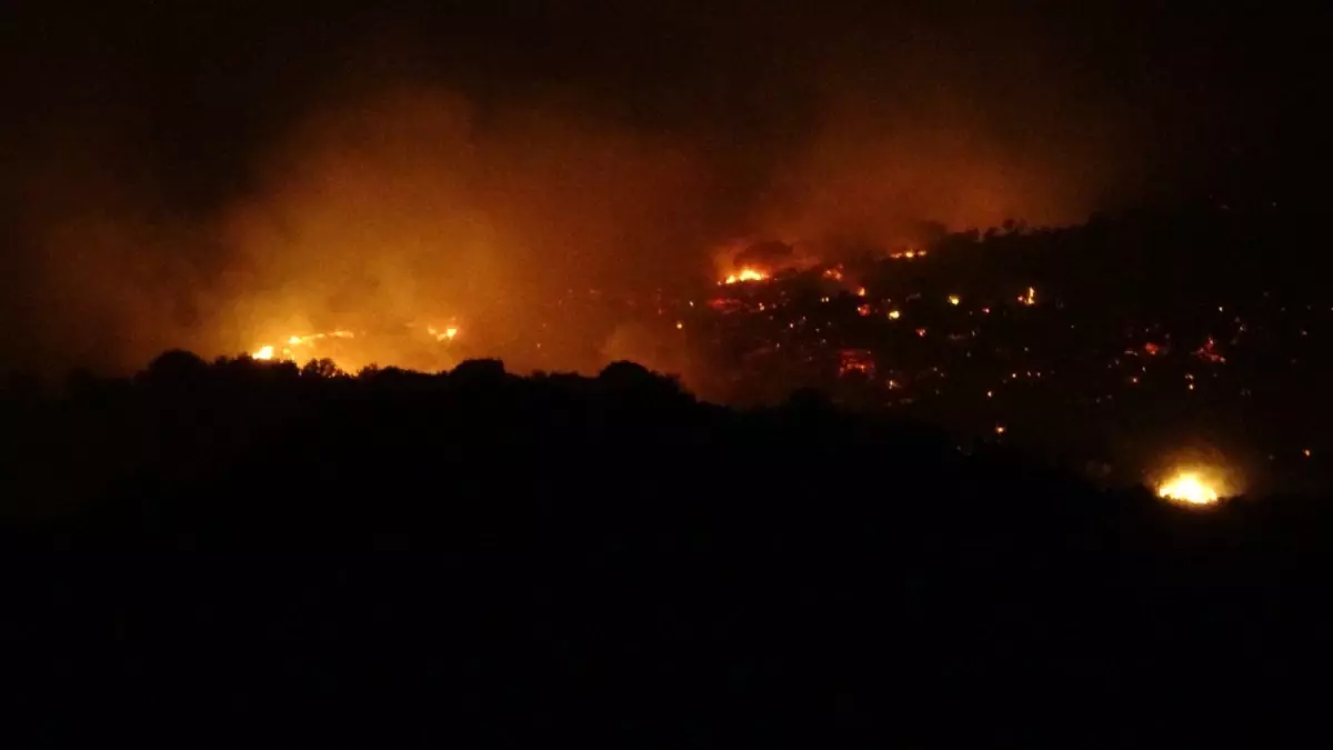Çanakkale'deki Yangında Tuzla Köyü Zarar Gördü