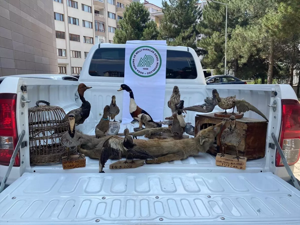 Afyonkarahisar'da Hayvan Tahnitine Cezası