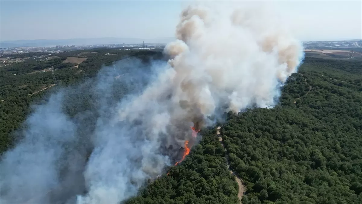 Gebze'deki Orman Yangını Kontrol Altına Alındı