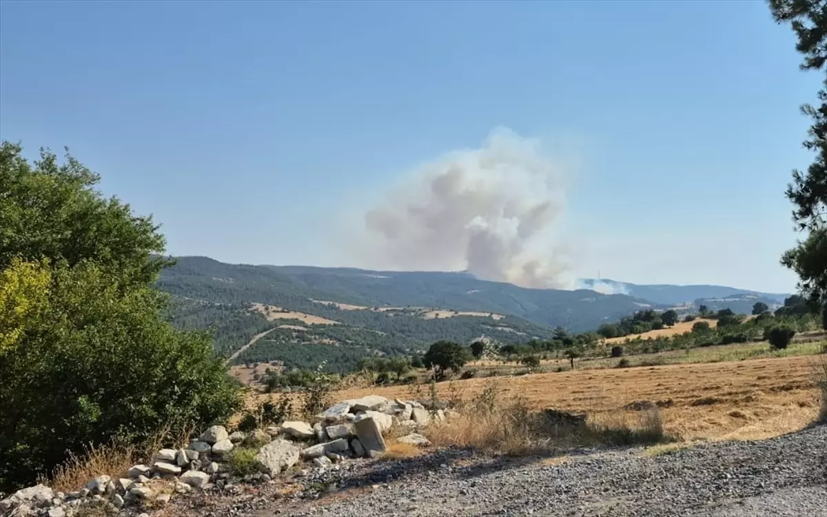 Balıkesir'de Orman Yangınına Müdahale Devam Ediyor