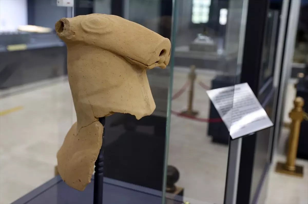 Şarkışla'da Hitit Dönemine Ait Testi Bulundu
