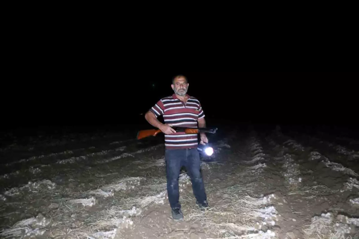 Çiftçilere Hırsız Nöbeti