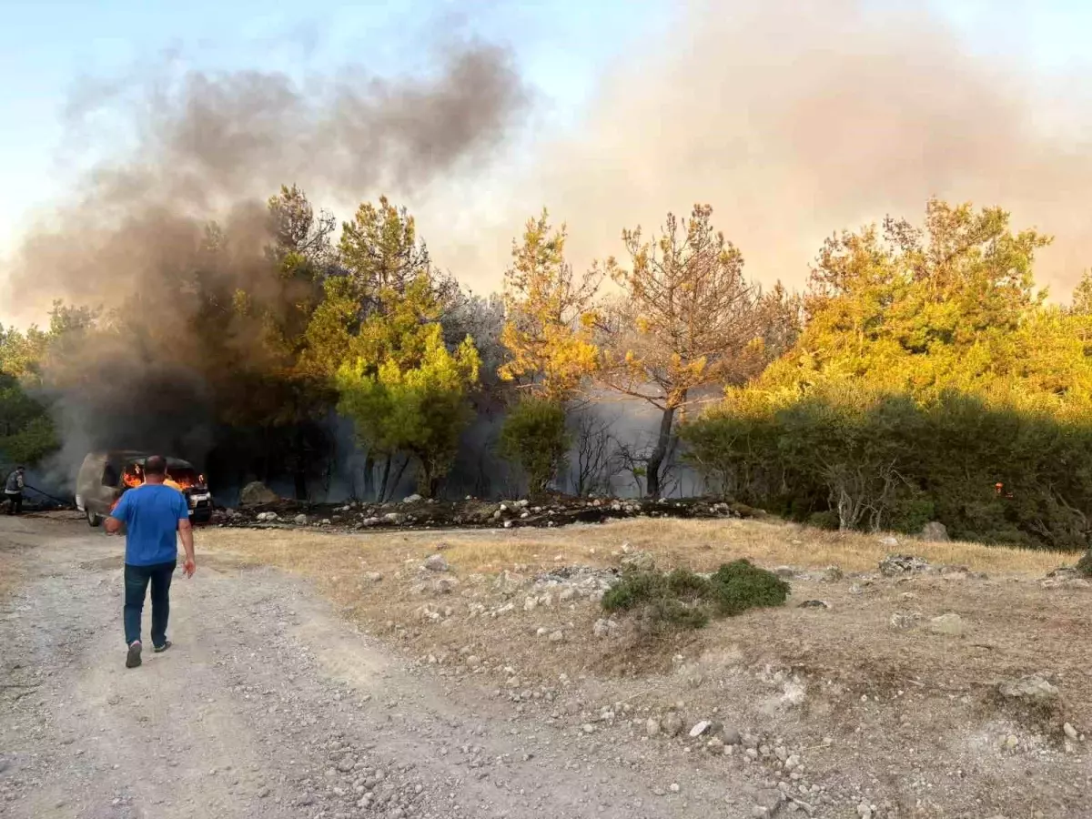 Çanakkale'de Park Halindeki Midibüs Yangını Ormana Sıçradı