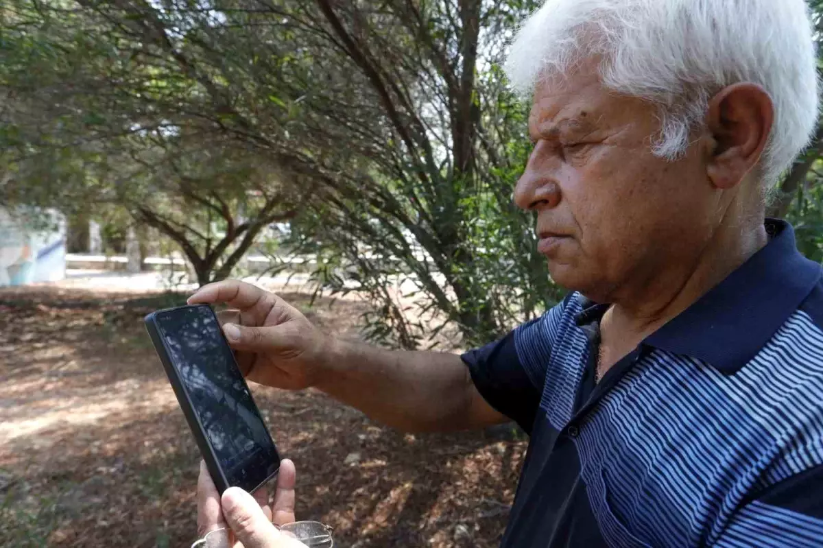 Kemer'deki Köpekbalığı Videosuna Tepki