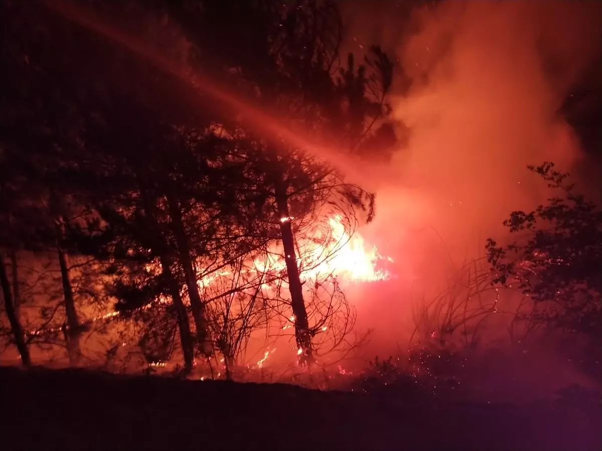 Mudurnu'da Tarım Arazisinde Yangın