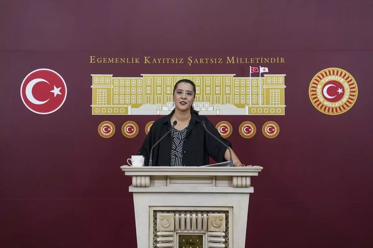 Şirketlerin Okul Üzerindeki Etkisi Eleştirildi