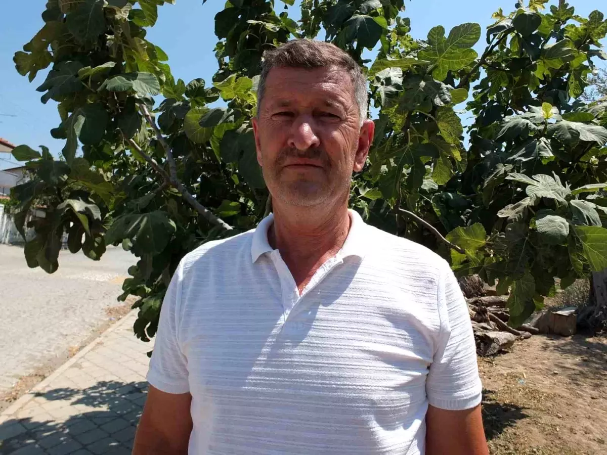 İsa Eren, Burhaniye'deki Caddeyi Meyve Ağaçlarıyla Donattı