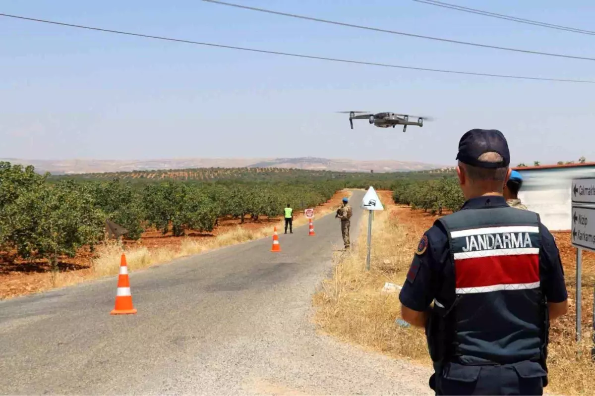 Gaziantep'te Fıstık Hırsızlığını Önlemek İçin Güvenlik Önlemleri