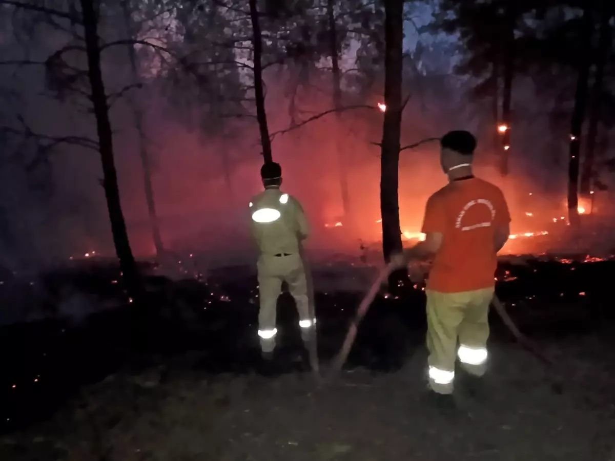 Orman Kahramanları Yangına Müdahalede