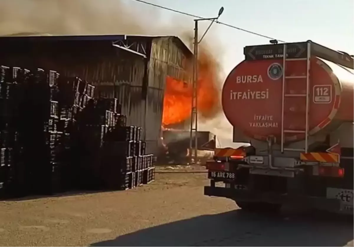 Bursa'da İhracat Deposunda Yangın