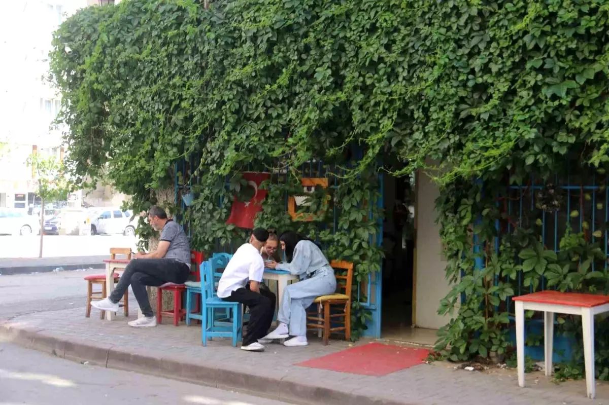 Sivas'ta Sarmaşıklarla Kaplı Gizli Kafe