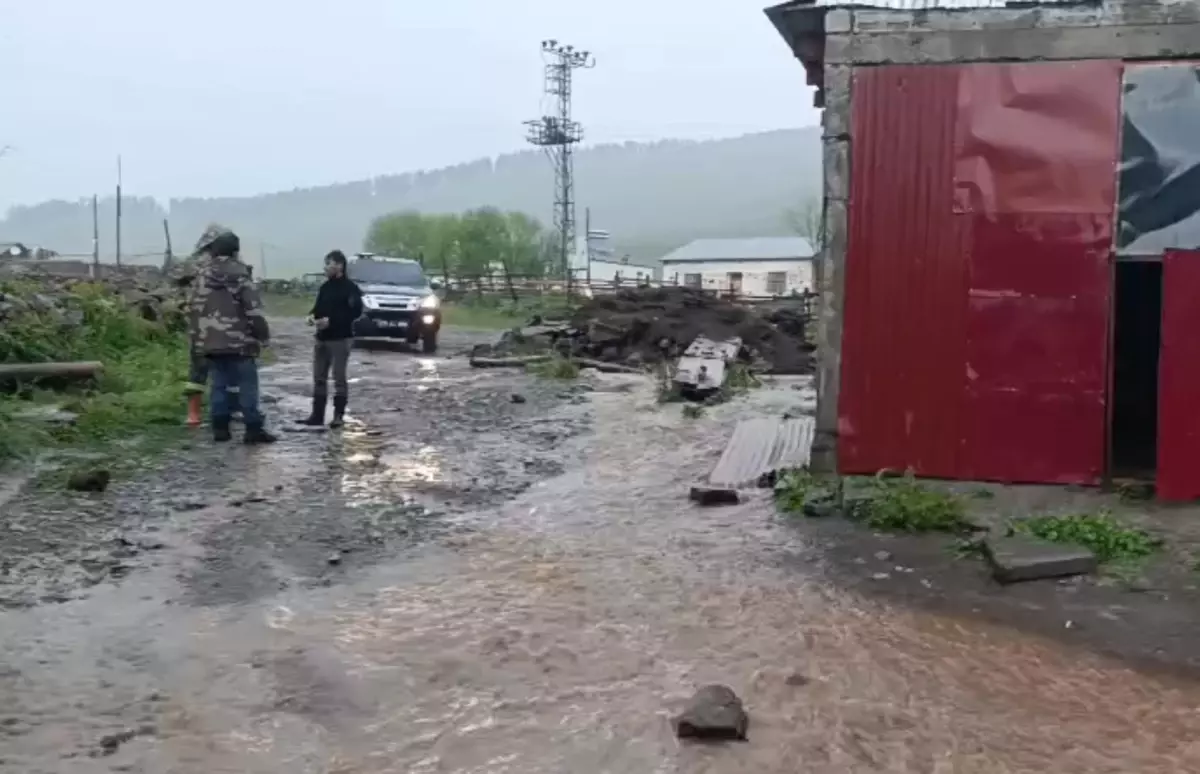 Göle'de Sağanak Sele Neden Oldu