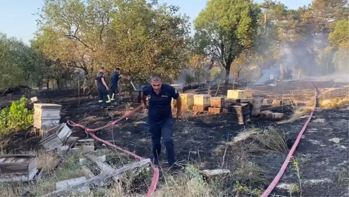 Elazığ'da Anız Yangını: Arı Kovanları Zarar Gördü