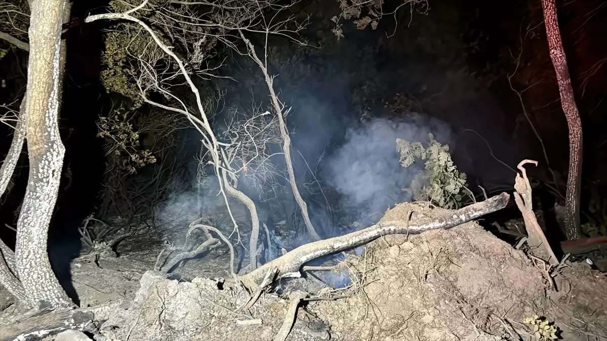 Gebze'de Orman Yangını Kontrol Altına Alındı