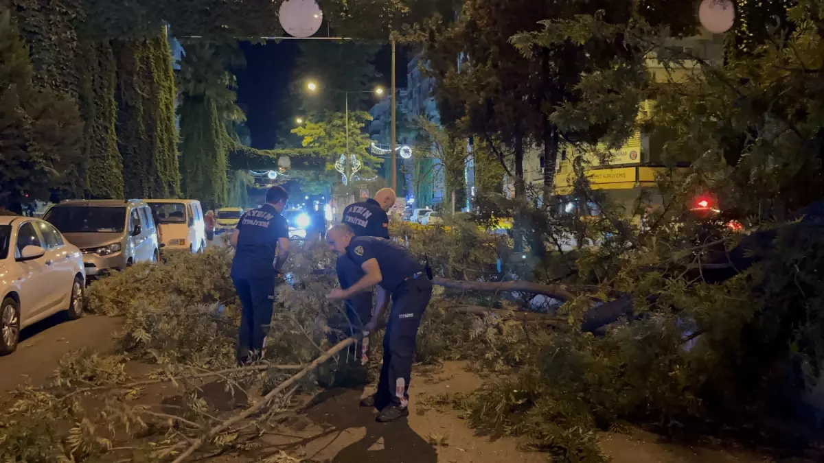 Aydın'da Motosiklet Sürücüsüne Ağaç Dalları Düştü