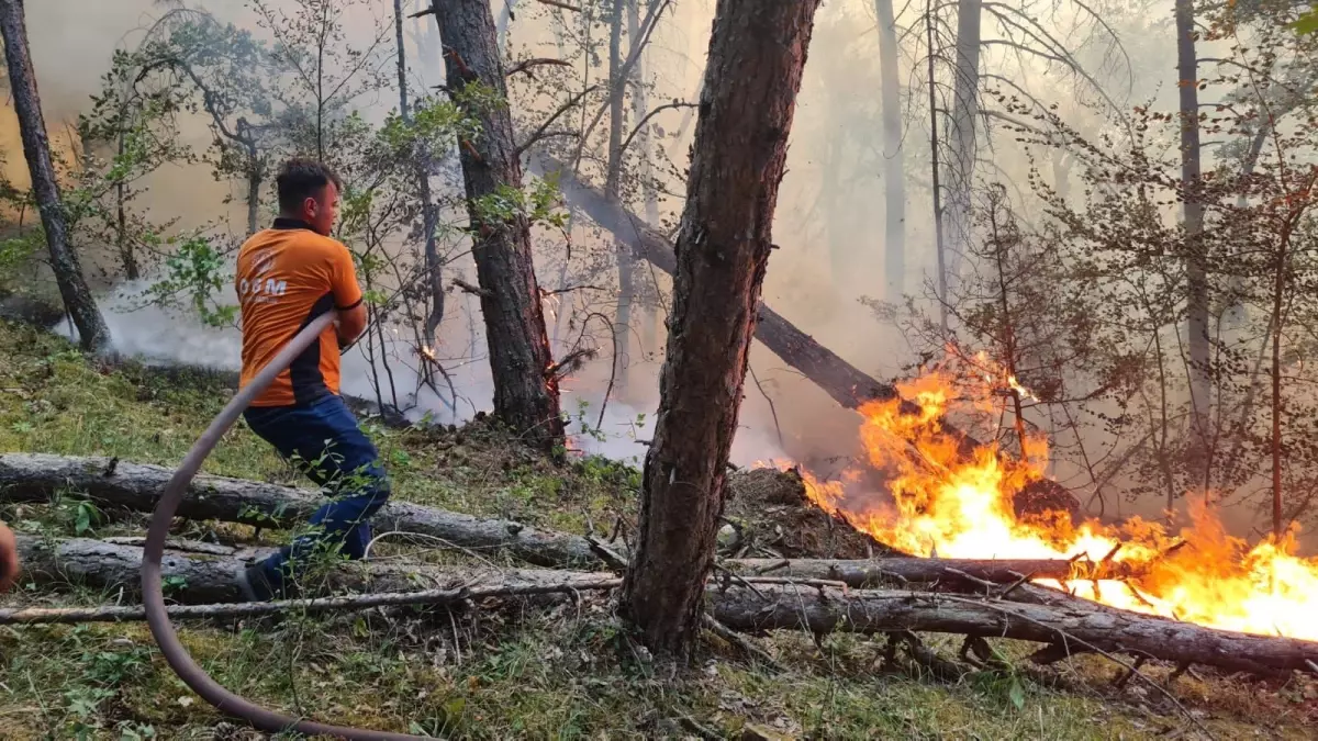 Karabük'te Orman Yangınına Müdahale Sürüyor